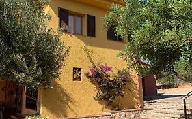 Casa Mola